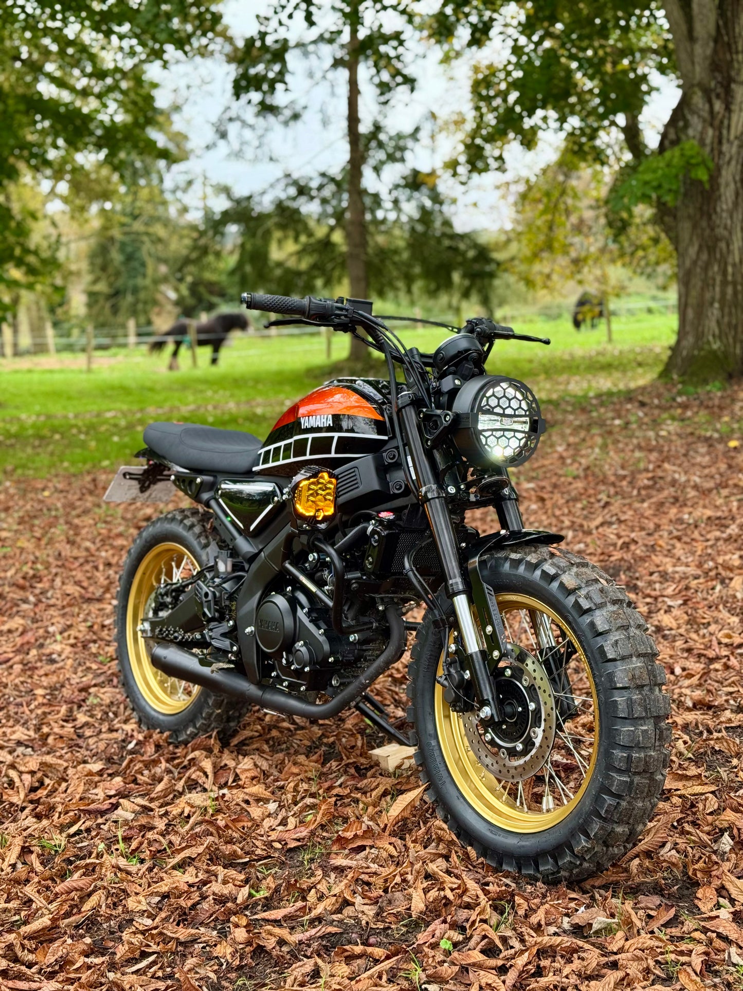 Get & Champagne – Série limitée XSR 125 par Le Cent Vingt Cinq! Réserve dès maintenant