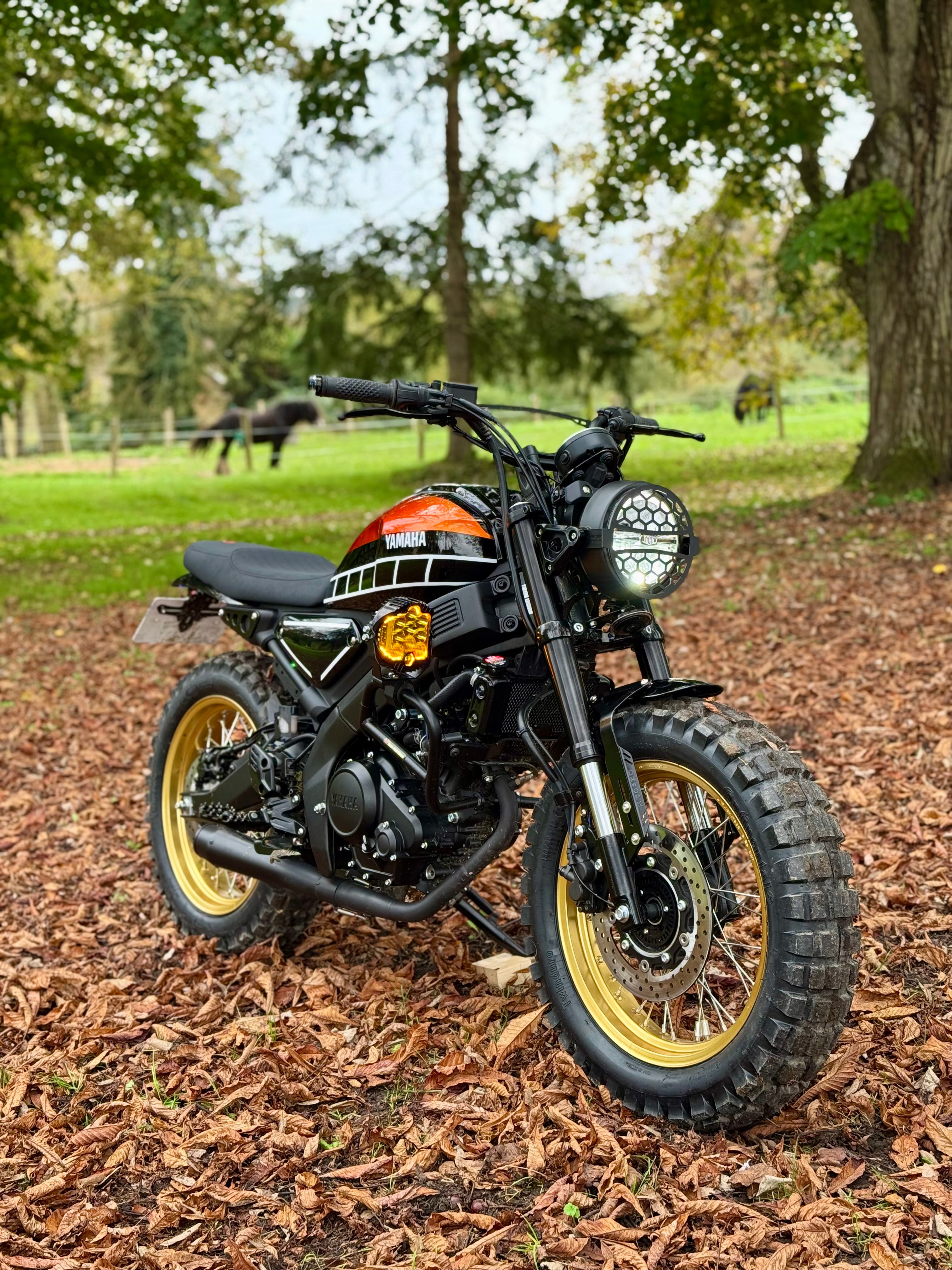 Préparation sur mesure - XSR 125/700cc